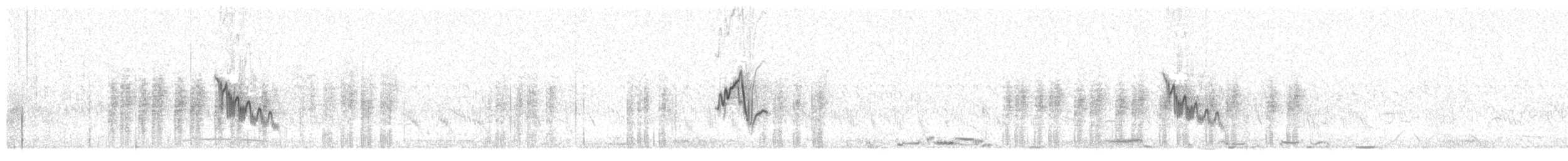 Australian Pipit - ML646547428