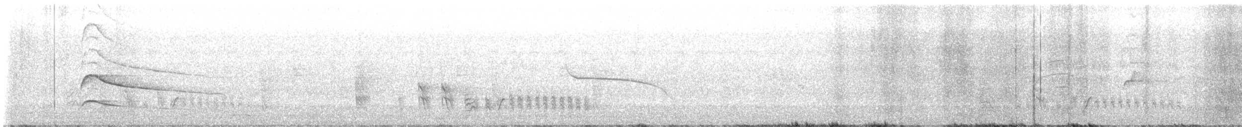 Greenish Elaenia - ML646547434