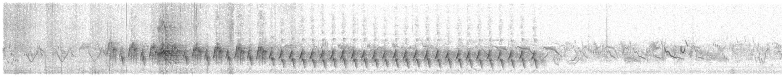 Weißflügel-Raupenfänger - ML646547601