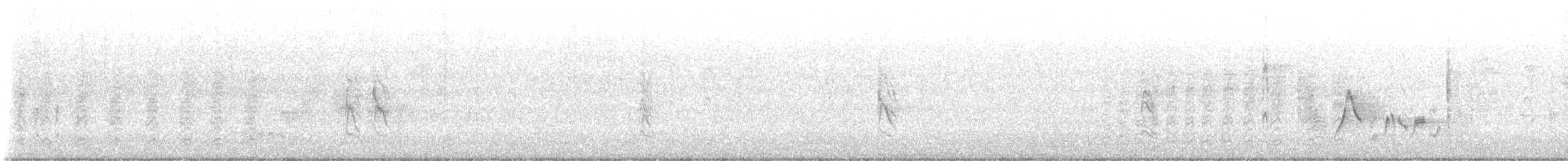 Schwarzbrustspelzer - ML646547826