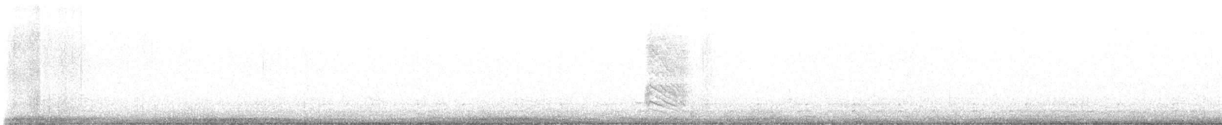 Pájaro Gato Gris - ML646548712