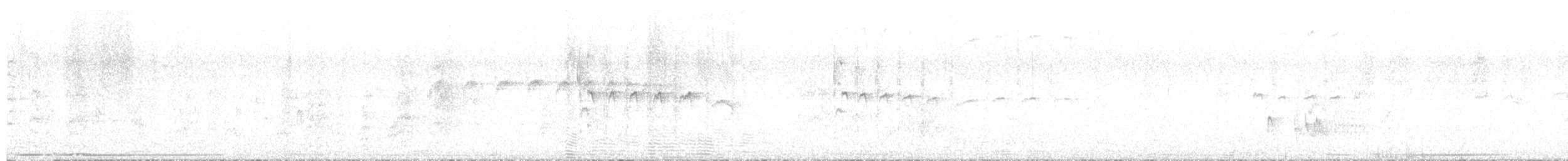 Southern Beardless-Tyrannulet - ML646549510