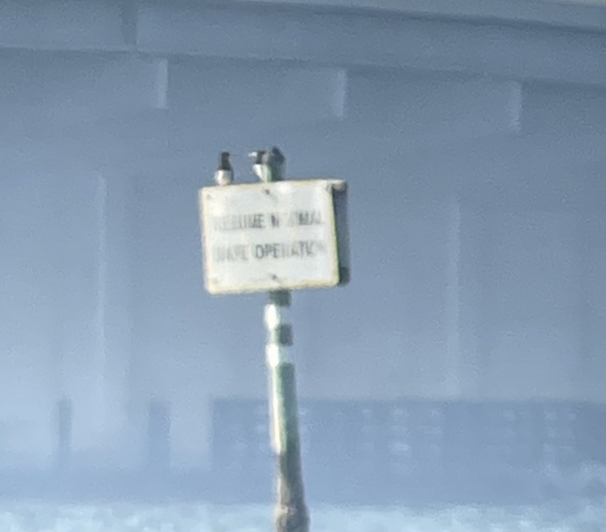 Brown Booby - ML646549664