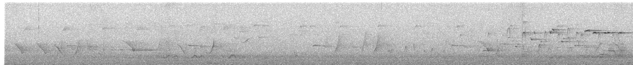 Colombine wonga - ML646549751