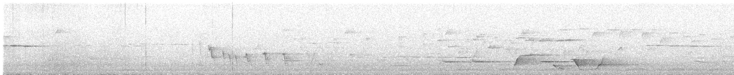 Colombine wonga - ML646549950