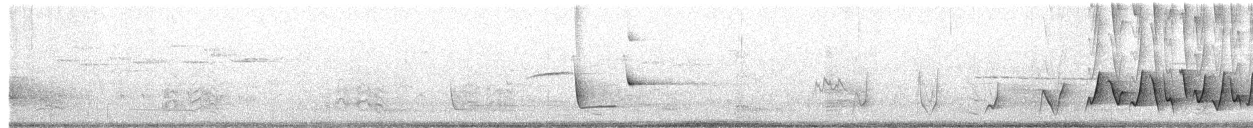 Siffleur itchong - ML646550028