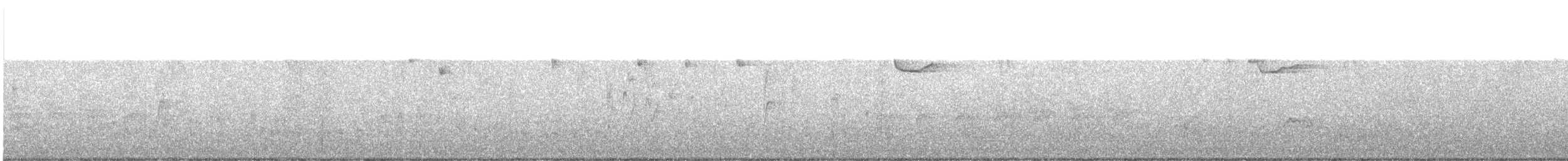 Brown Creeper - ML646550036