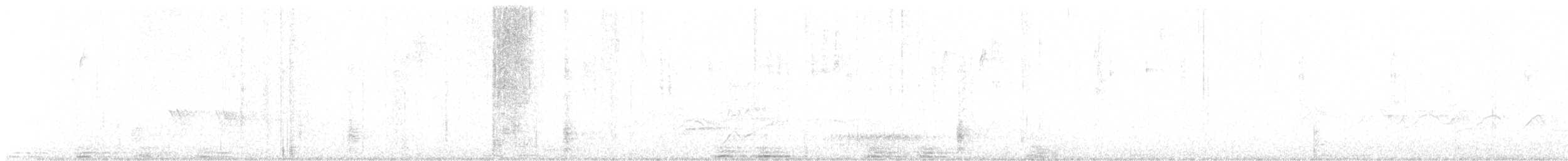 Great-tailed Grackle - ML646550403