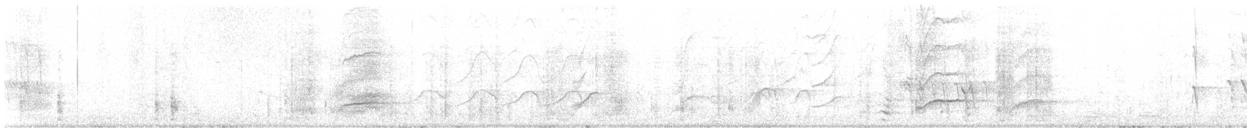 Great-tailed Grackle - ML646550525