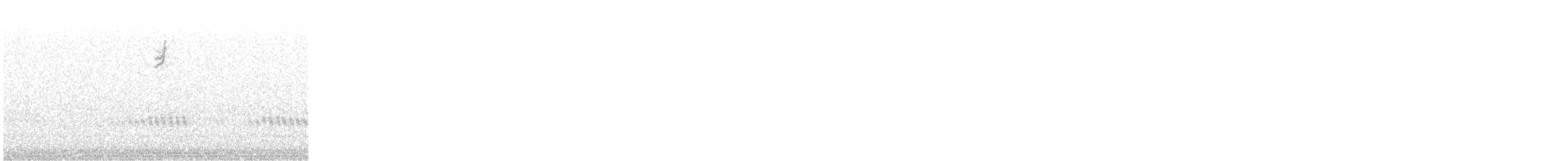 White-crowned Sparrow - ML646551537