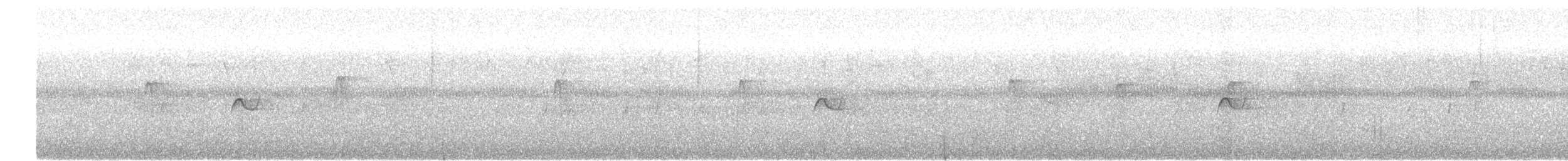 Northern Tropical Pewee - ML646551917