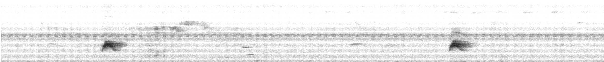 Highland Elaenia - ML646551997