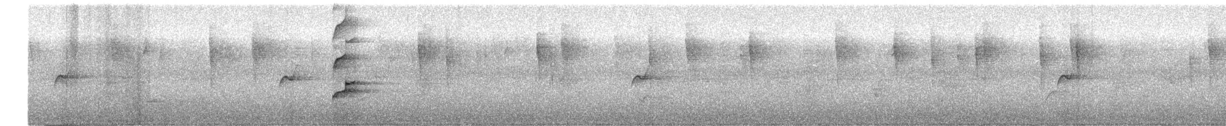 Long-tailed Manakin - ML646552642