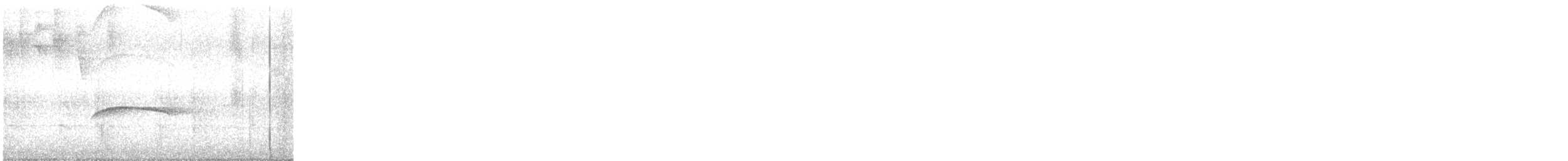 Puerto Rican Flycatcher - ML646552789