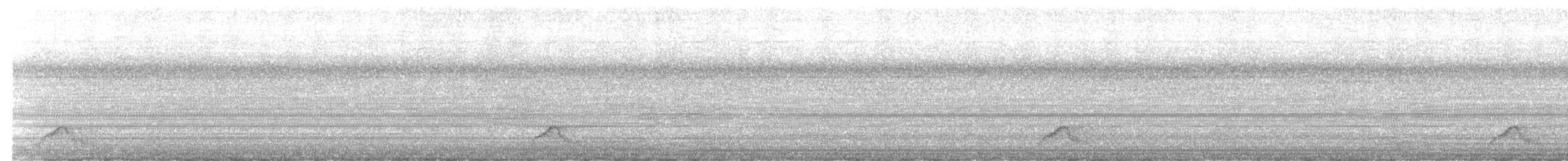 lelek šedočelý - ML646552896