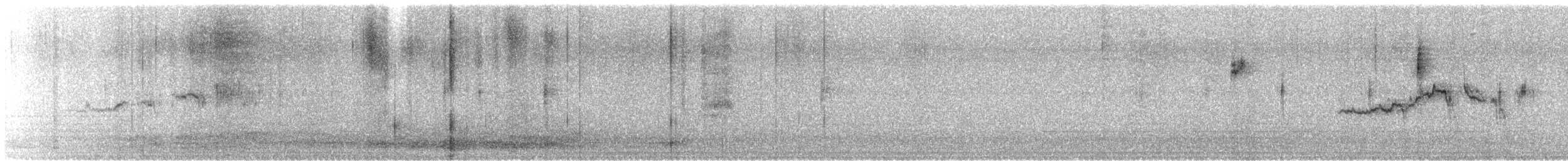 White-crowned Sparrow - ML646553092