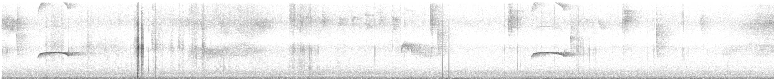 Puerto Rican Flycatcher - ML646553192