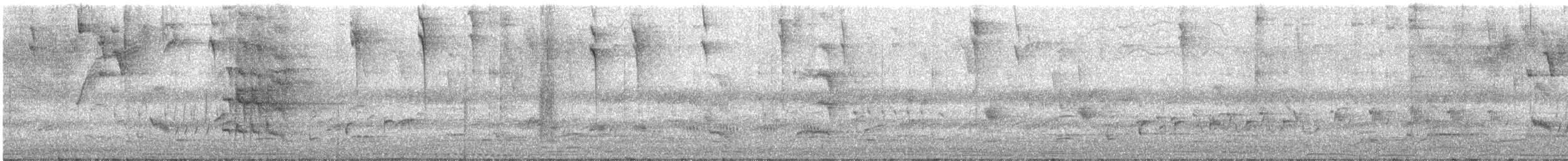 Тиран темноголовий (підвид taylori) - ML646553516