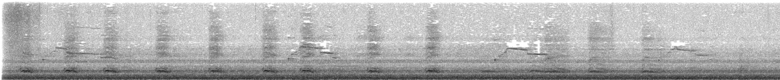 Мартиновий sp. - ML646553936