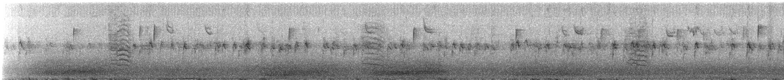 Gray Catbird - ML646554105