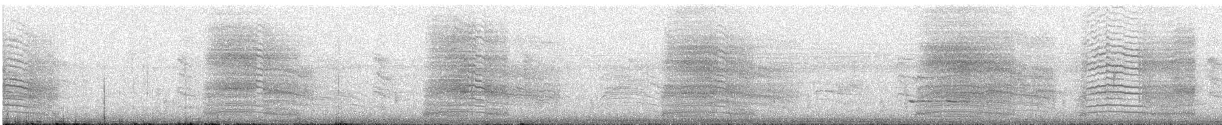 Gray Catbird - ML646554177