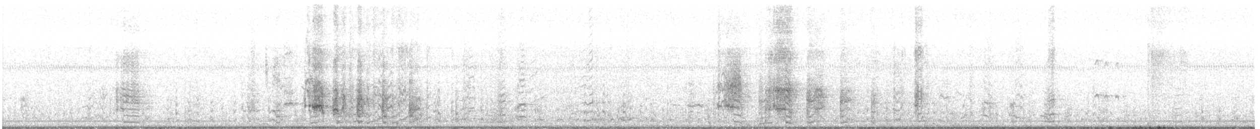 Sarcelle d'hiver - ML646554498