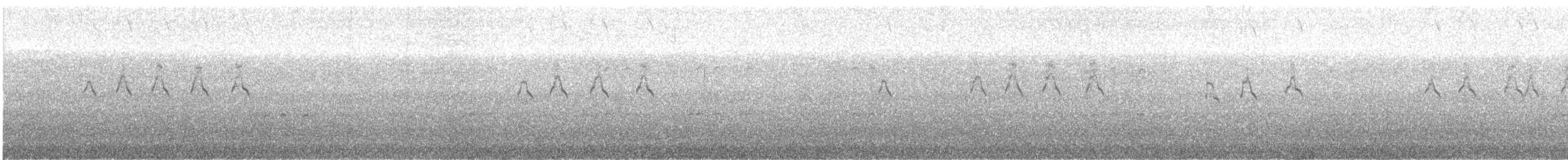 Sandwich Tern - ML646554599