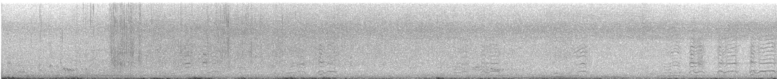 Channel-billed Cuckoo - ML646555009