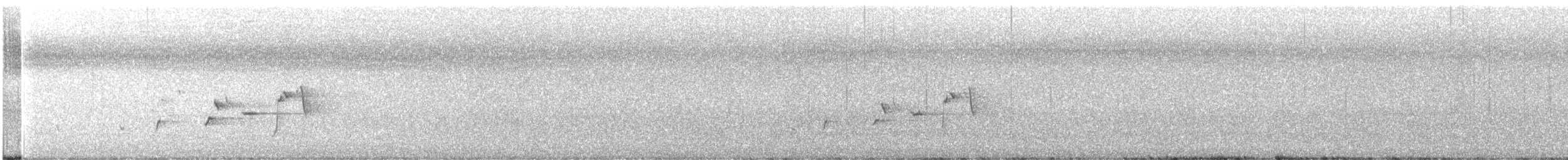 Willie-wagtail - ML646555180