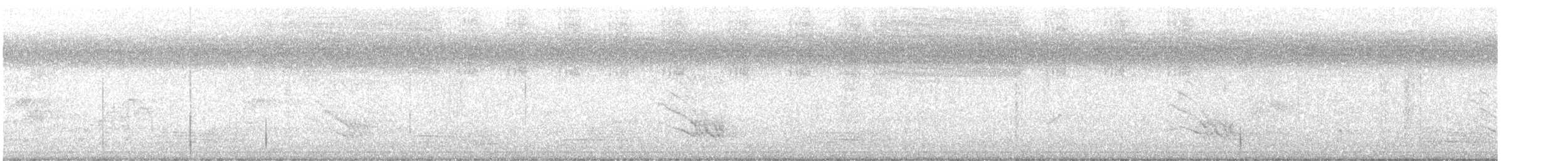 Black-faced Cuckooshrike - ML646555298