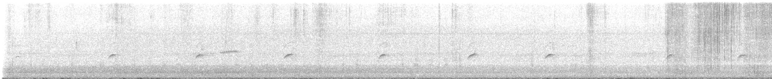 Swamp Sparrow - ML646555317