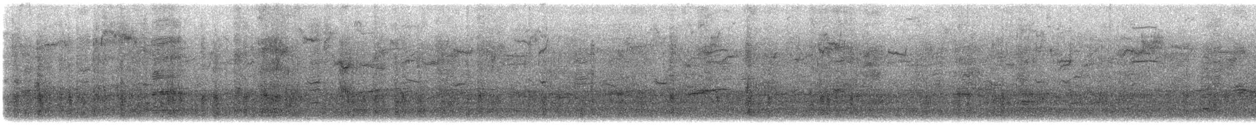 Common Grackle - ML646556193