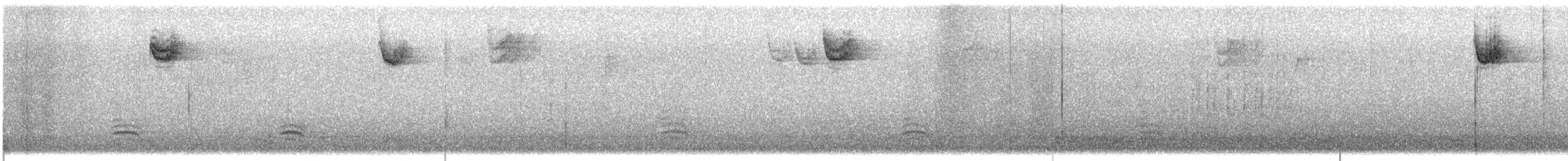 White-throated Sparrow - ML646556439