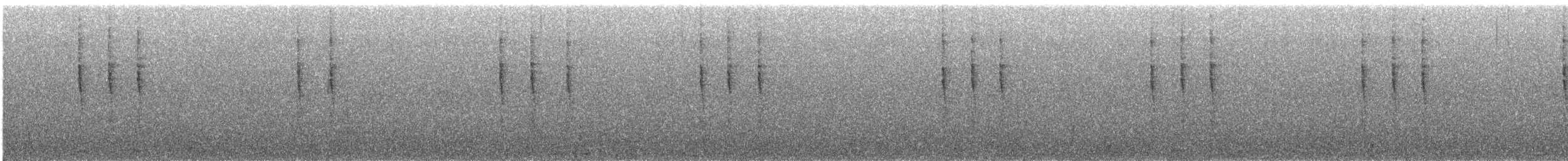 Pacific Wren - ML646556483