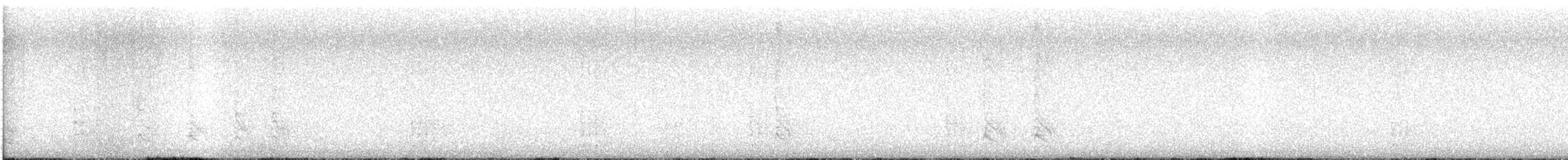 Red-bellied Woodpecker - ML646556568