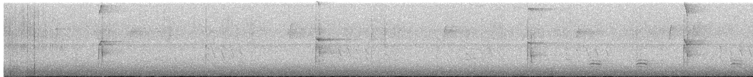 Hairy Woodpecker - ML646556708