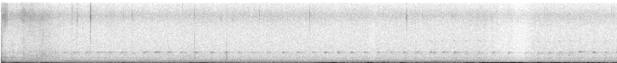 Pileated Woodpecker - ML646556716