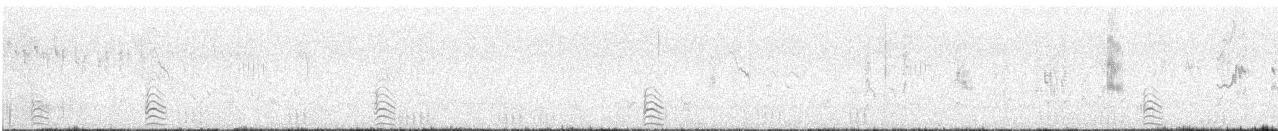 黑領高蹺鴴 - ML646556724