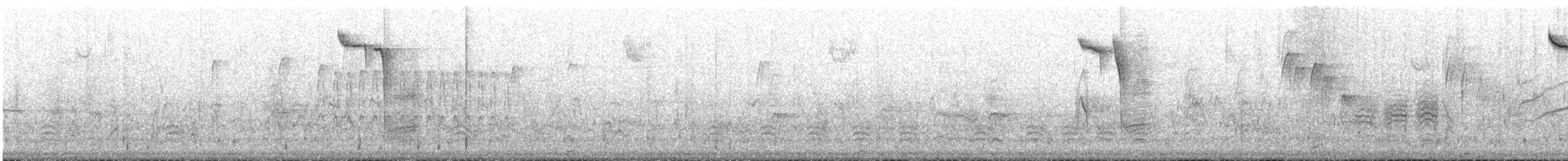 Американская гренадерка - ML646556769