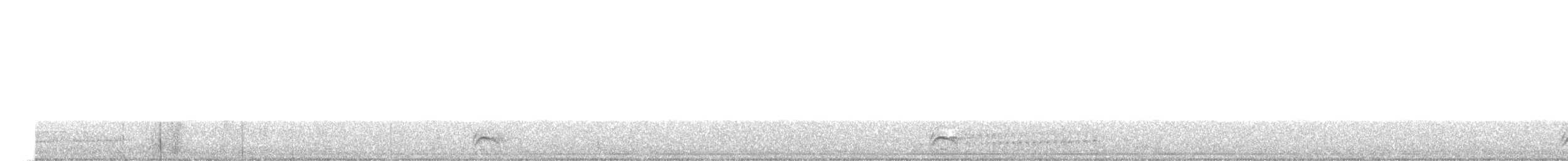 Black-crowned Antshrike - ML646556982