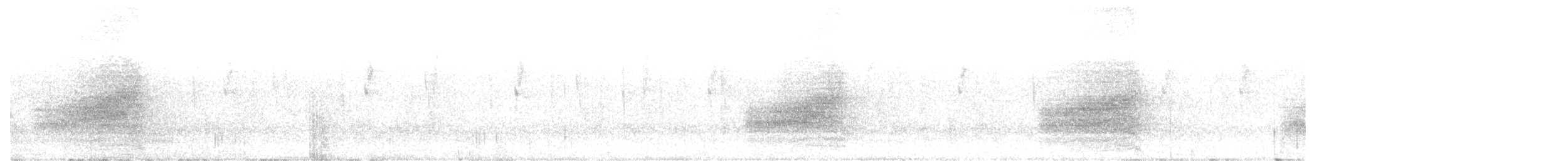 White-throated Jay - ML646557032