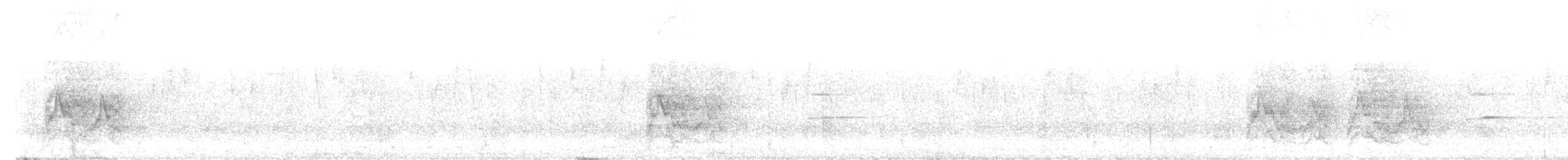 White-throated Jay - ML646557033