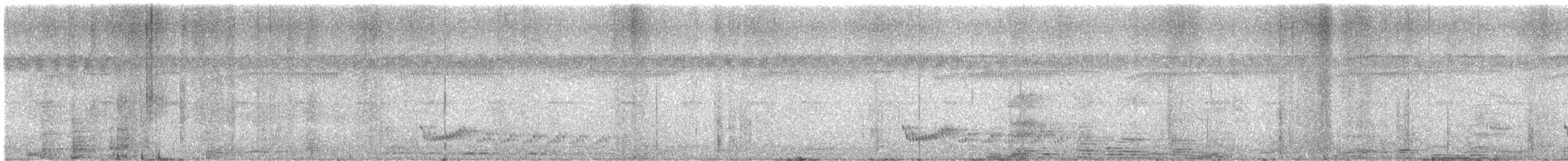 Little Nightjar - ML646557071