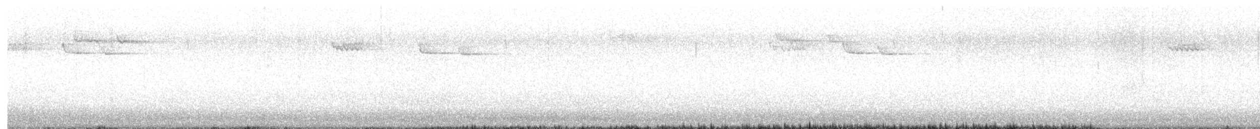 Brown Creeper - ML646557457