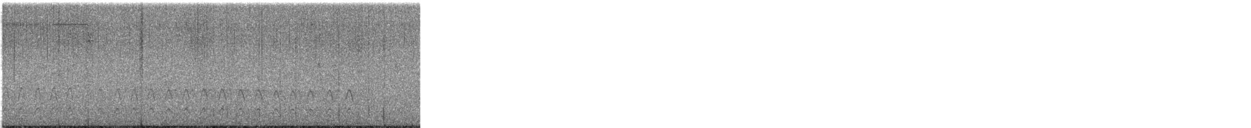 זרון אמריקני - ML646557600