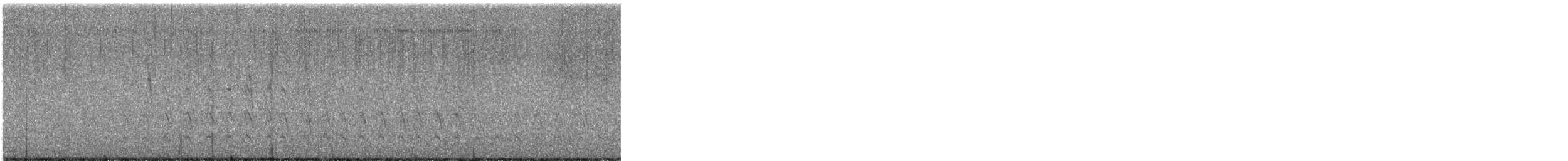 זרון אמריקני - ML646557601