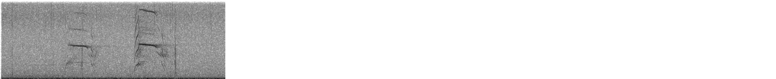 זרון אמריקני - ML646557603