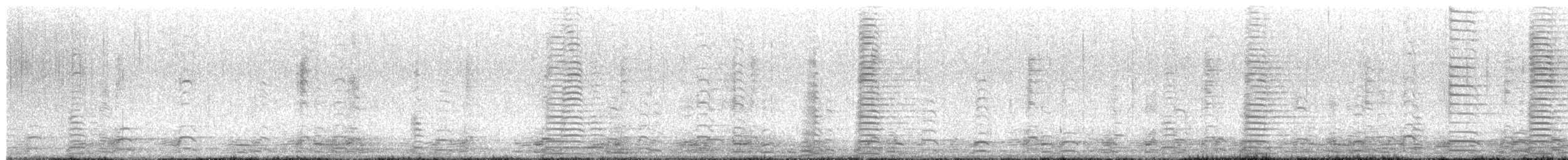 Trumpeter Swan - ML646557891