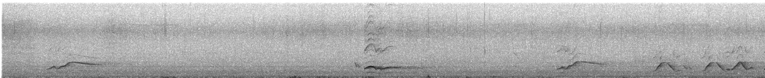 Pied Currawong - ML646557943