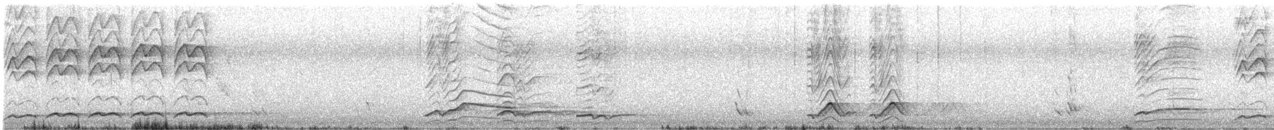 Pacific Koel - ML646558120